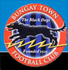 Bungay Town Football club